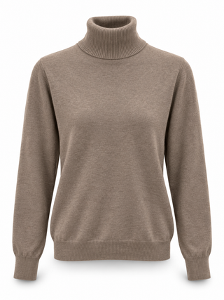 Rollkragenpullover 2610017
